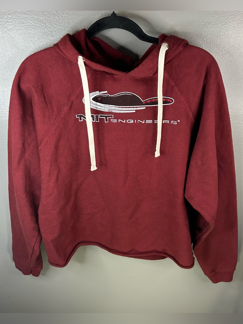 MIT Engineers Beaver NCAA University Cropped Hoodie Sweatshirt Size Large New